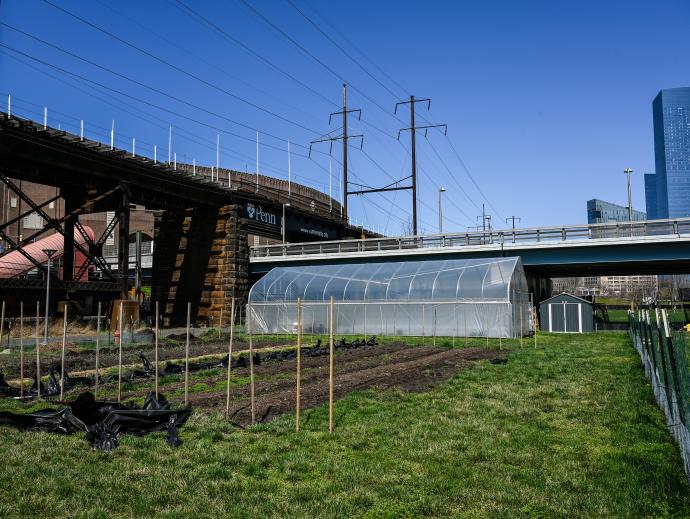Field and small green house